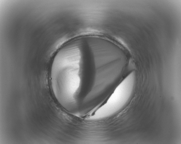 X0000066011455200603242045