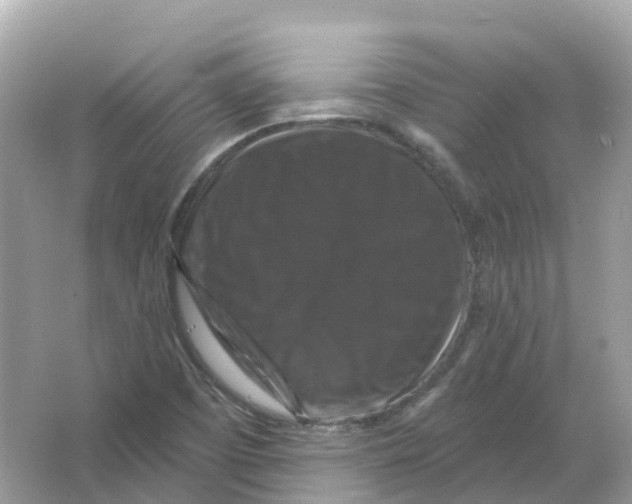 X0000066011457200603242045