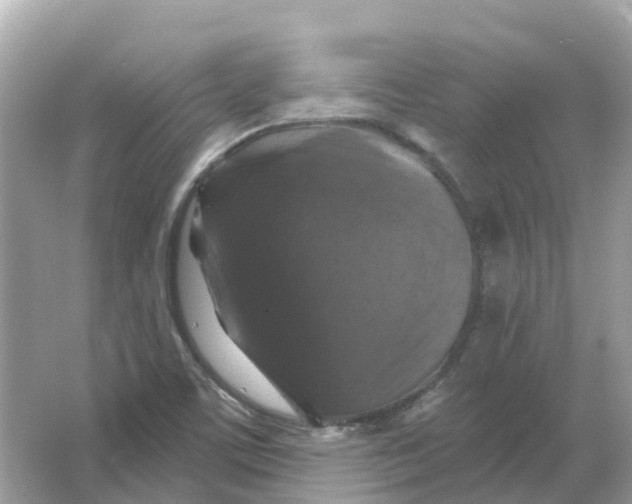 X0000066011459200603242045