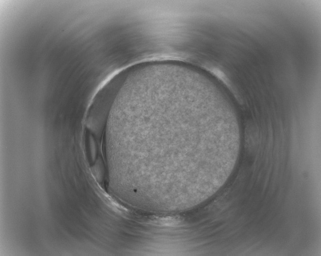 X0000066011460200603242045