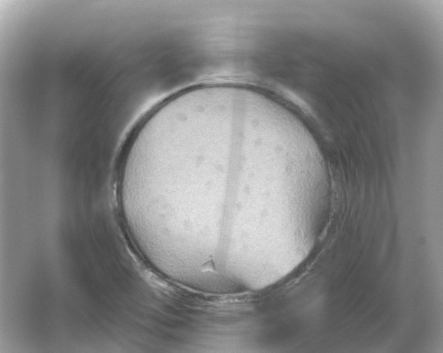 X0000066011462200603242045