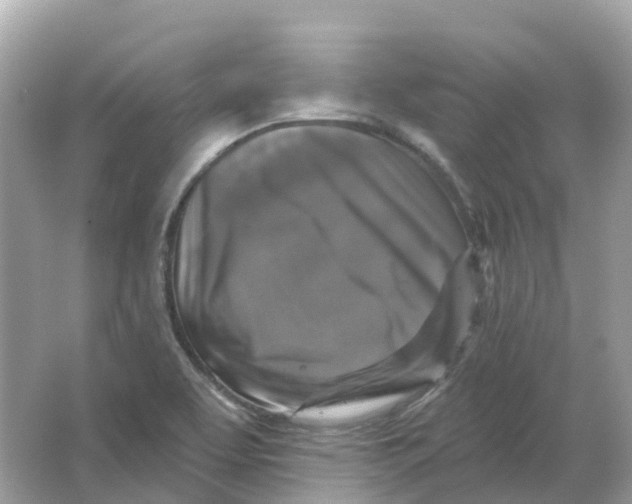 X0000066011463200603242045