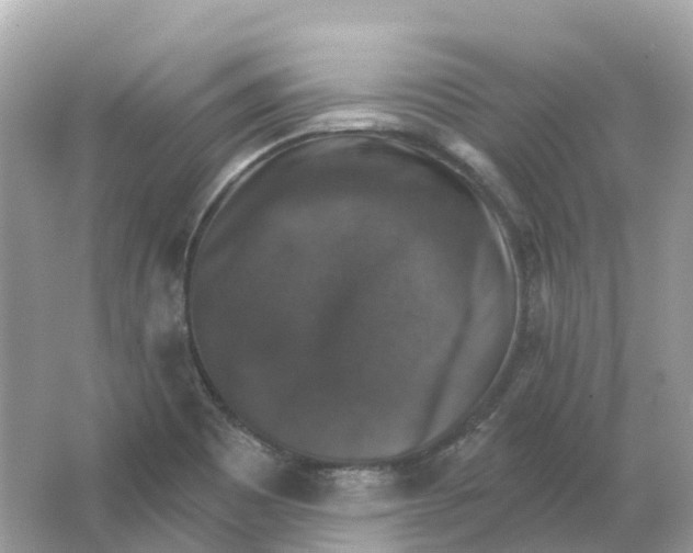 X0000066011465200603242045