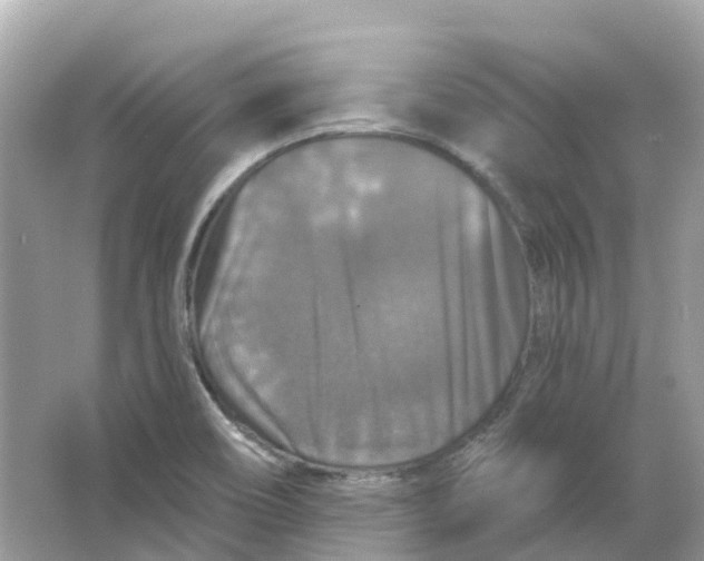 X0000066011466200603242045