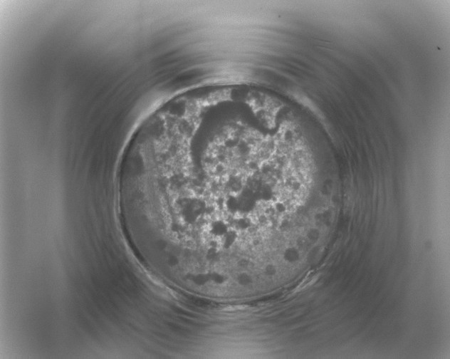 X0000066011467200603242045