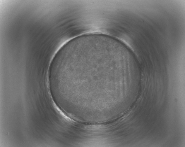 X0000066011468200603242045