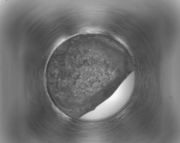 X0000066011471200603242045