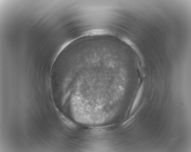 X0000066011473200603242045