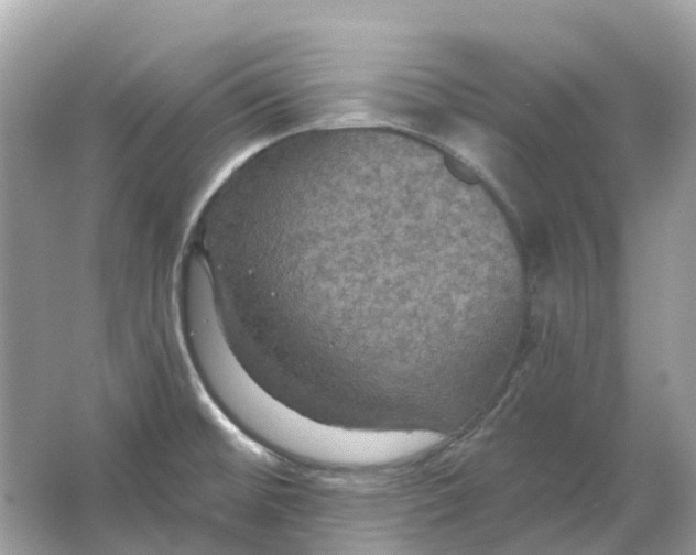 X0000066011476200603242045