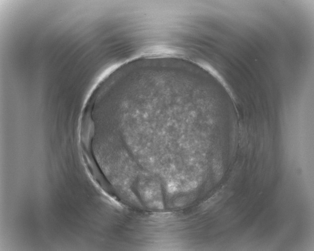 X0000066011477200603242045