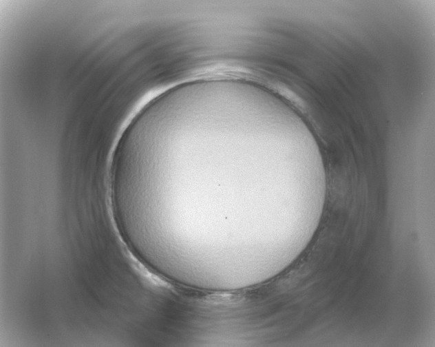 X0000066011478200603242045