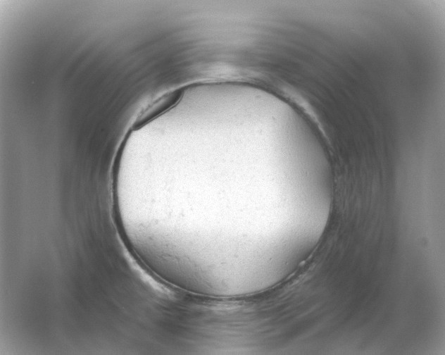 X0000066011479200603242045