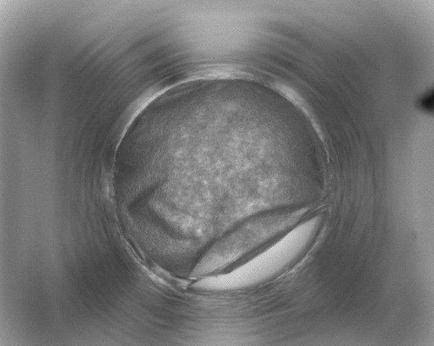 X0000066011481200603242045