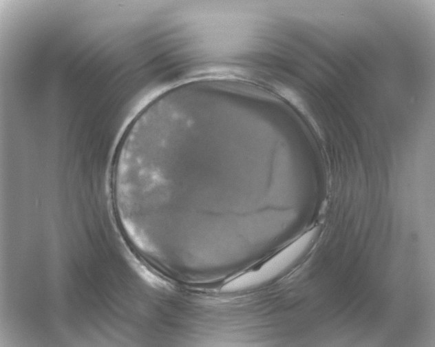 X0000066011482200603242045