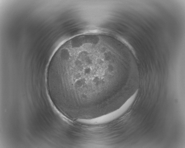 X0000066011483200603242044