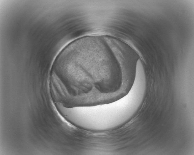 X0000066011484200603242044