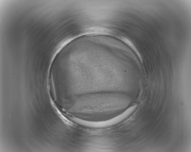 X0000066011485200603242044