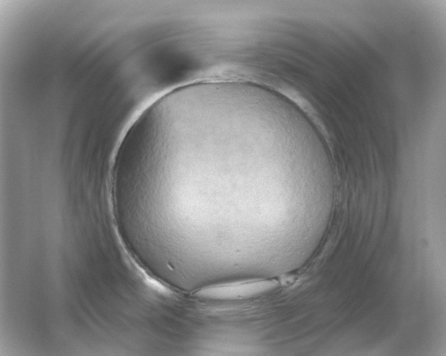 X0000066011486200603242044