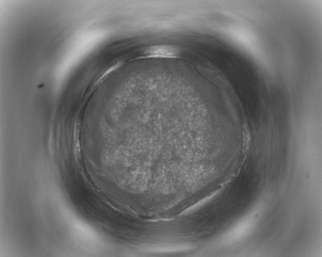 X0000066011487200603242044