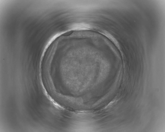 X0000066011488200603242044