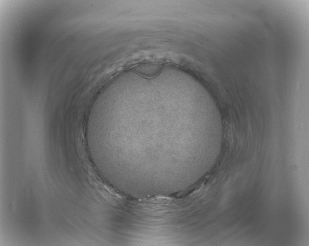 X0000066011489200603242044