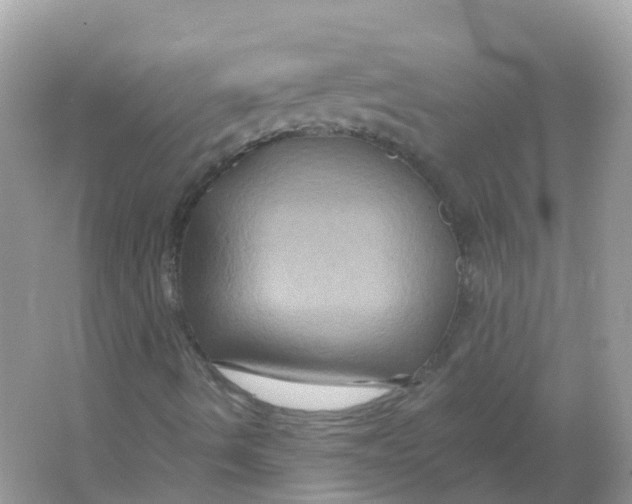 X0000066011490200603242044