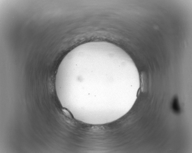 X0000066011491200603242044