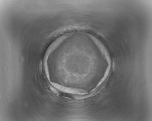 X0000066011492200603242044