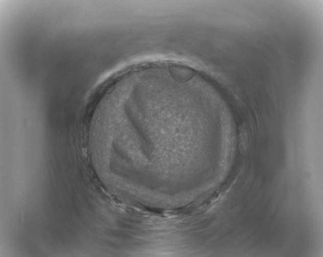 X0000066011494200603242044