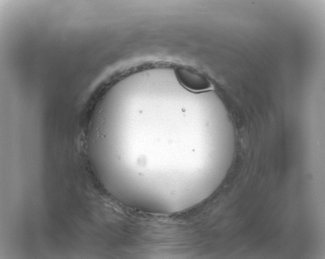 X0000066011495200603242044