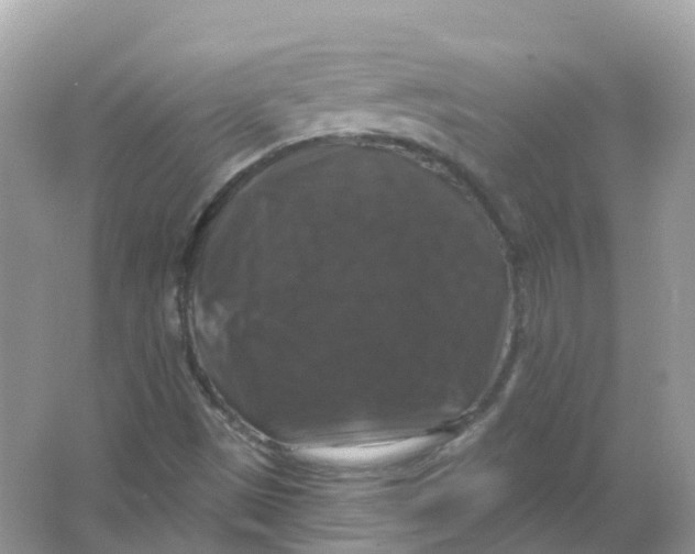 X0000066011497200603242044