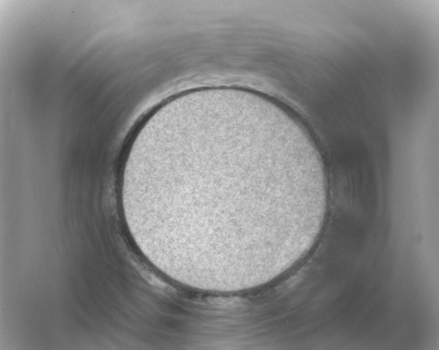 X0000066011498200603242044