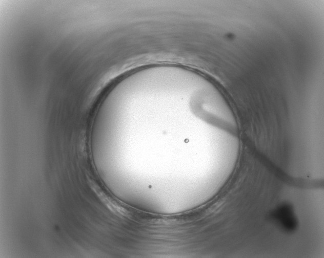 X0000066011499200603242044