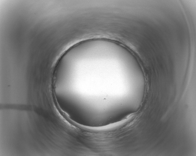 X0000066011500200603242044