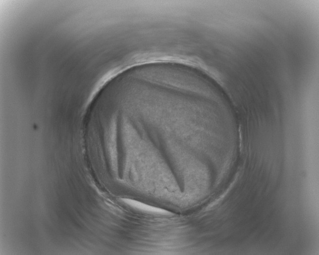 X0000066011501200603242044