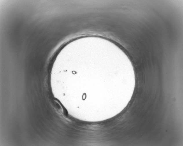 X0000066011502200603242044