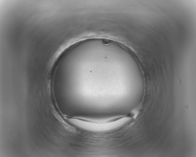 X0000066011503200603242044