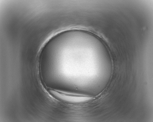 X0000066011504200603242044