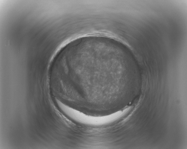 X0000066011506200603242044