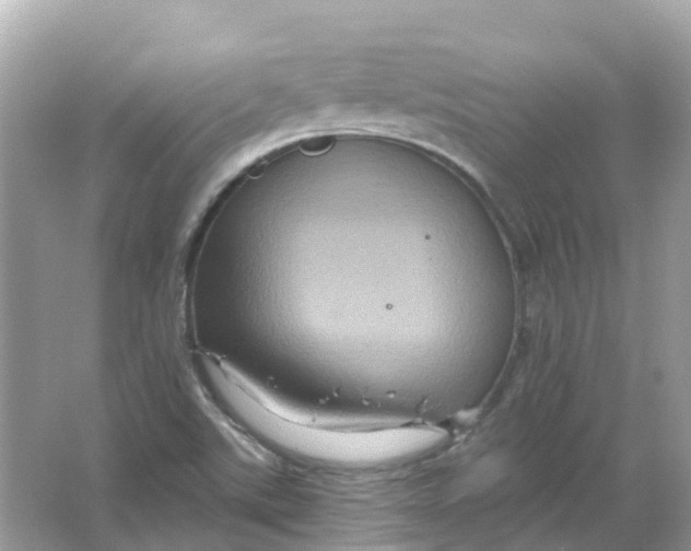 X0000066011507200603242044