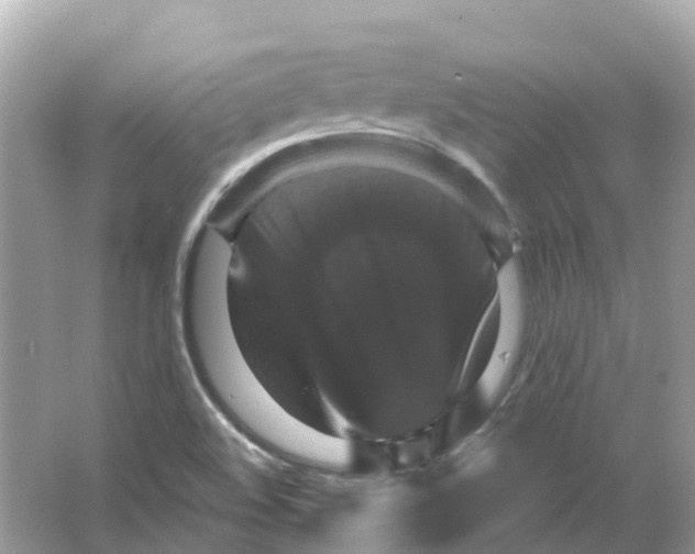 X0000066011508200603242044