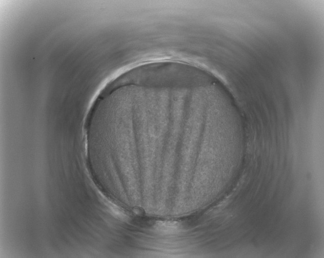 X0000066011509200603242044