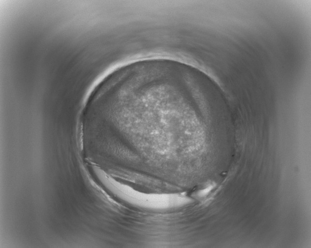 X0000066011510200603242044