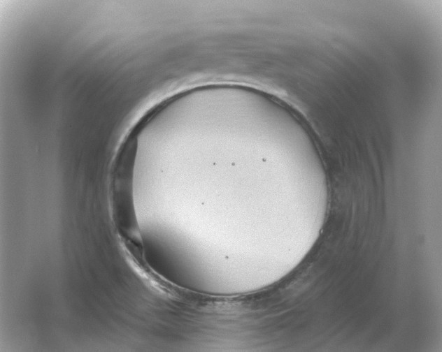 X0000066011511200603242044