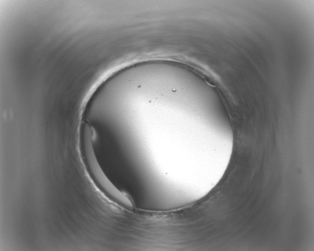 X0000066011512200603242044