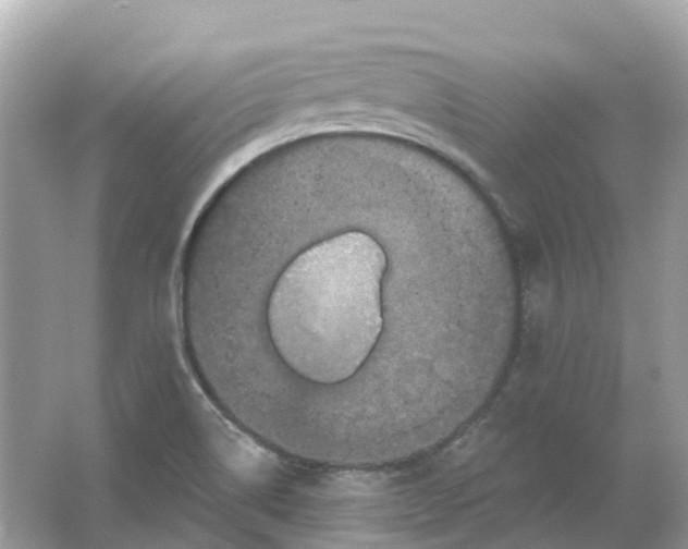 X0000066011514200603242044