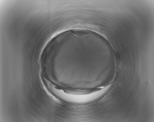 X0000066011515200603242044