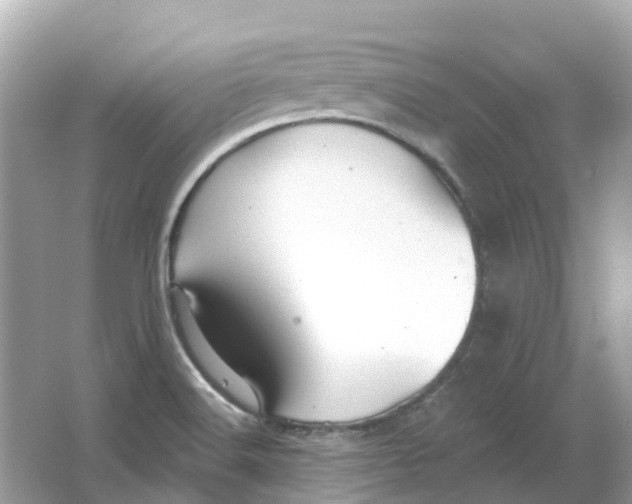 X0000066011516200603242044