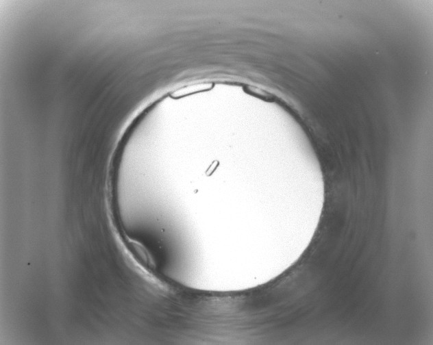 X0000066011518200603242044