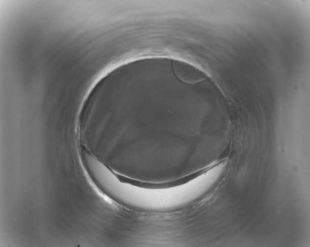 X0000066011519200603242044